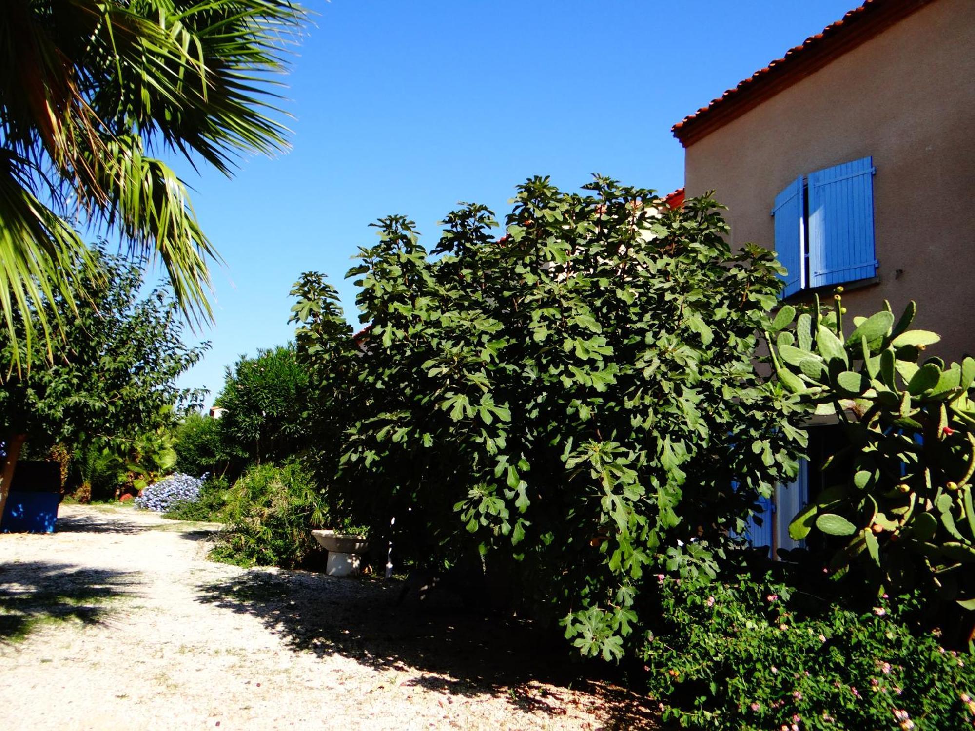 Residence L'Orangeraie-2-Claira 66530 Экстерьер фото